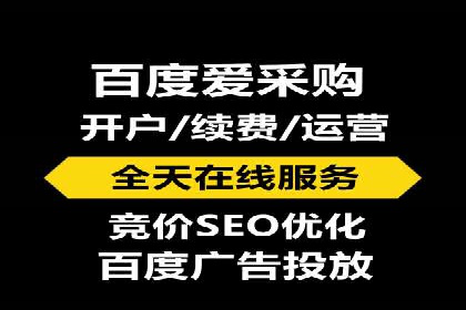 百度推广排名案例报告：某行业巨头如何运用其占领市场高地